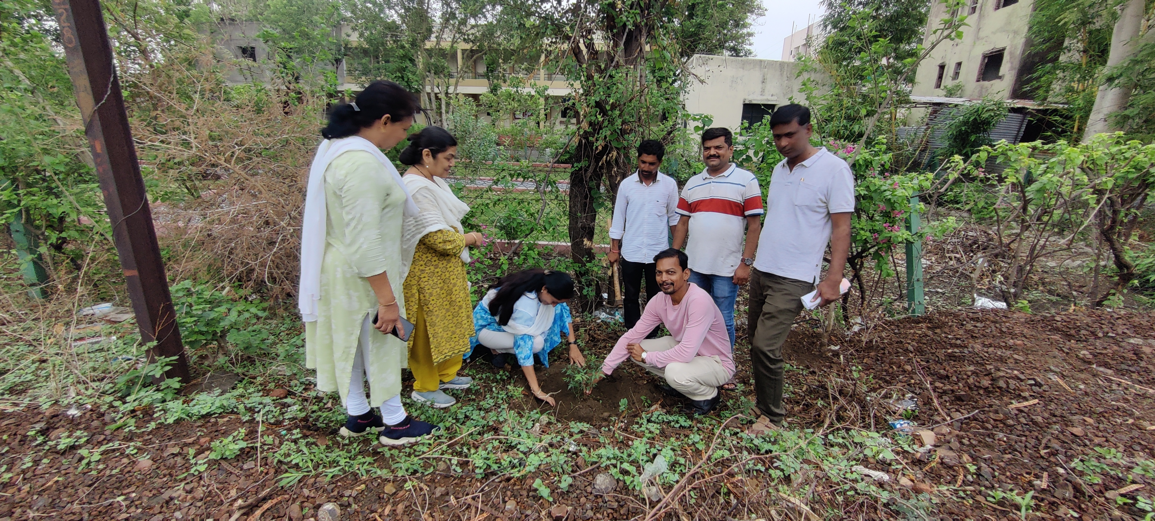 Tree plantation june 2024